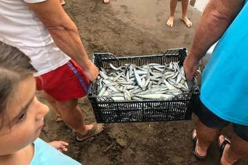 Chinchorro y varada del pescado pasados por agua (Foto TA)